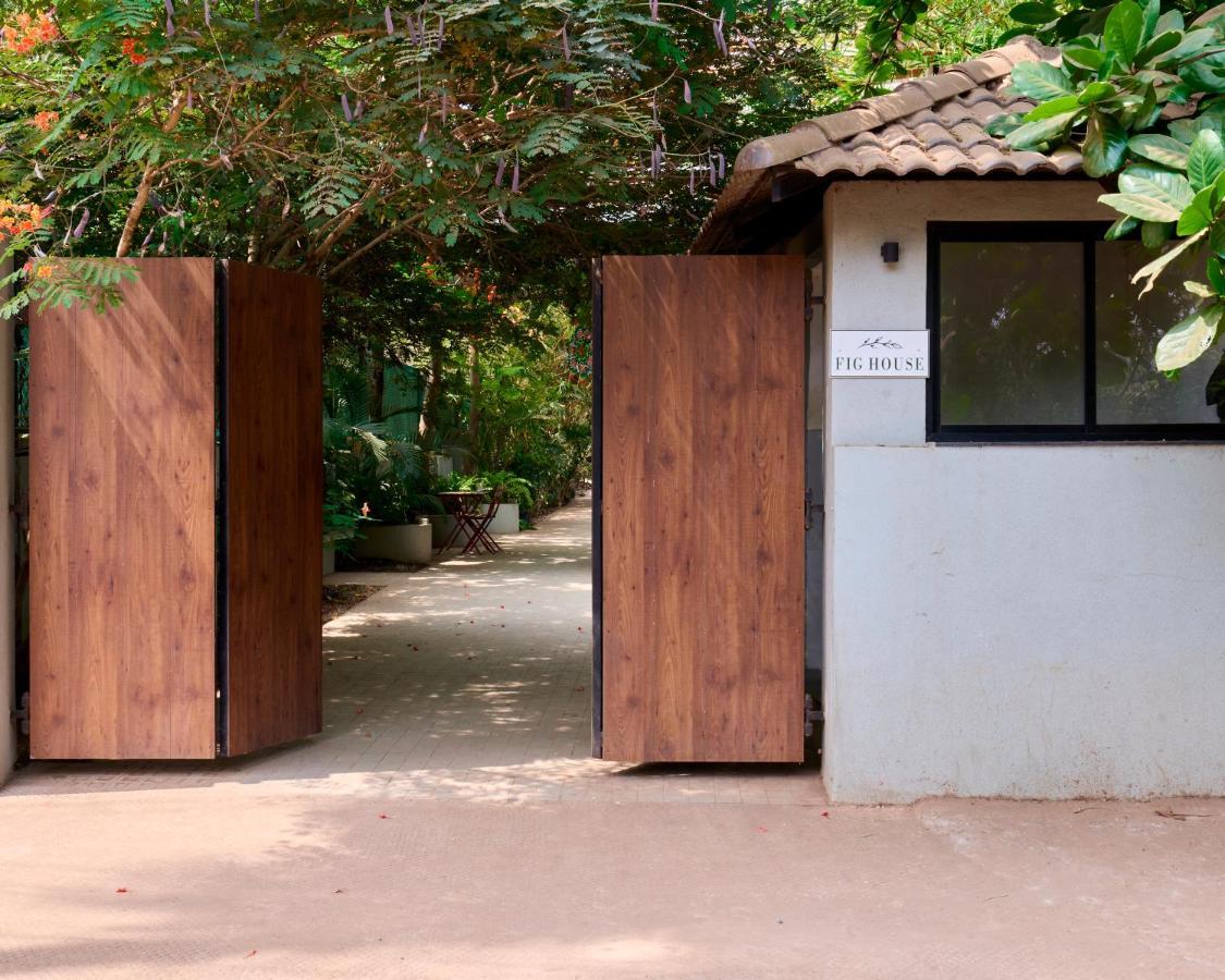 Fig House Anjuna-Chapora Road , Siolim 1Bhk Suite Oxel Exterior foto